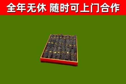 临川回收海参